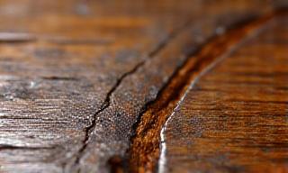 Detail of antique wooden furniture being repaired.